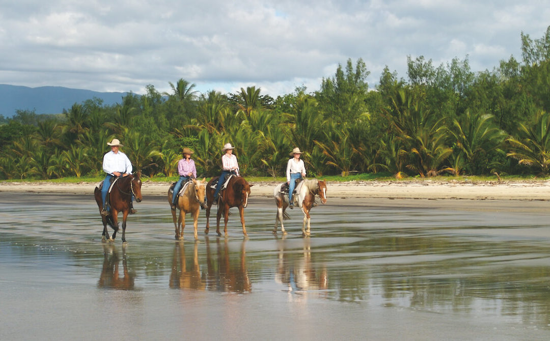 Go off the beaten track in Port Douglas