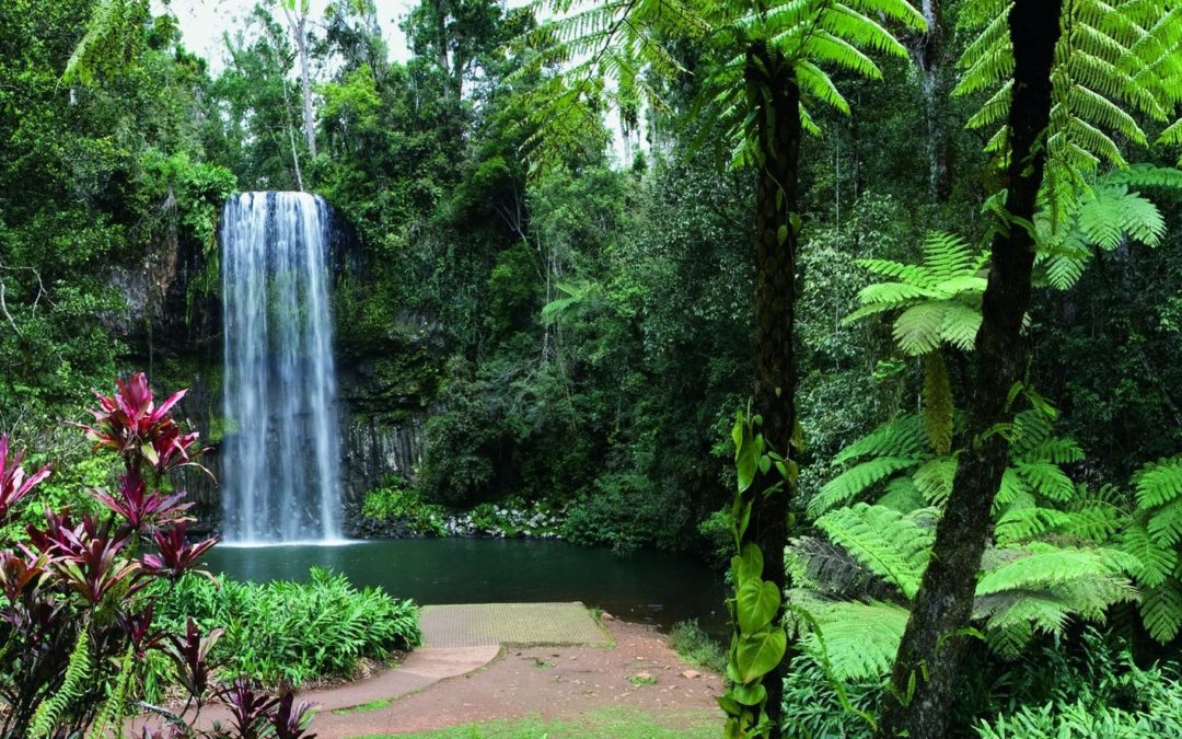 Chasing Waterfalls around Port Douglas