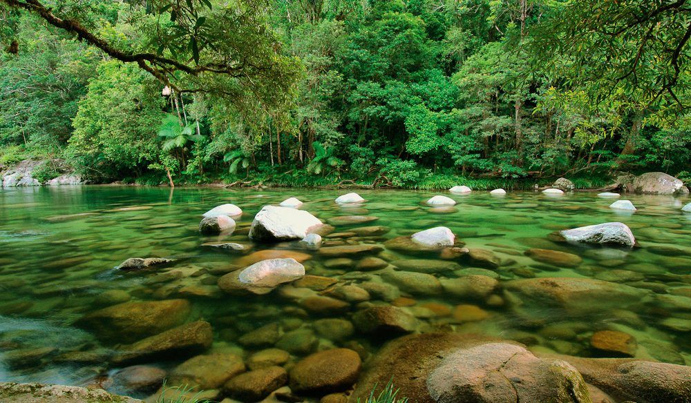 Fresh Water Holes around Port Douglas