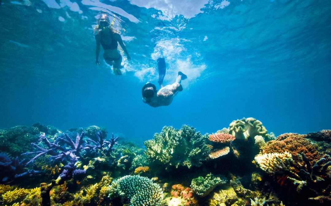 Guide to visiting the Great Barrier Reef