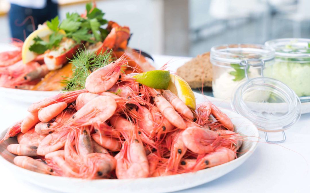 Seafood Lovers Guide to Port Douglas